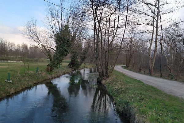 Vicenza, die Berici-Hügel, Bassano, die Hochebene von Asiago und die Pedemontana