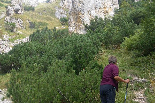 Monte Zevola und Monte Gramolon